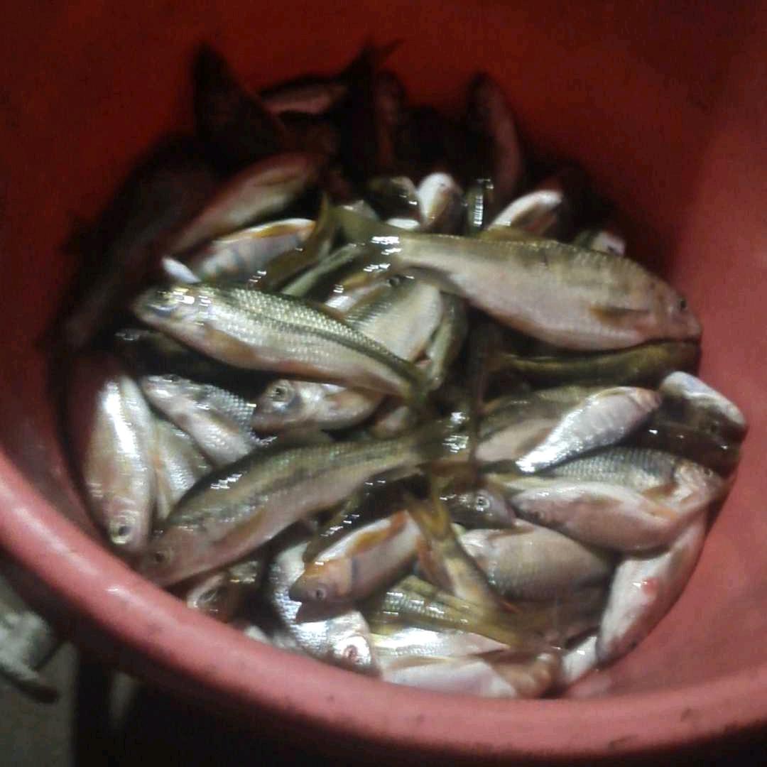 溪流——邪修！