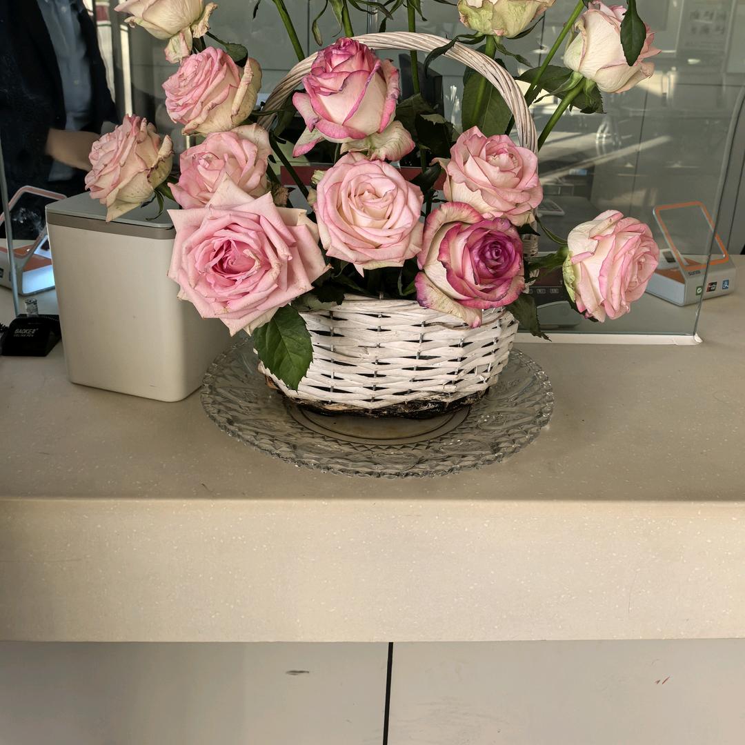 🌸张🌸