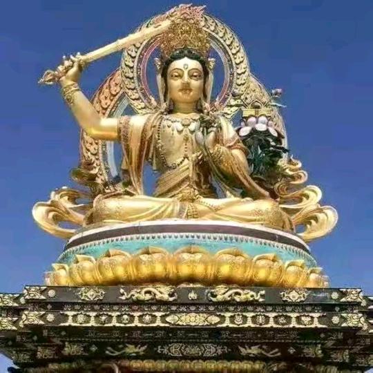 🕊开心就好🕊