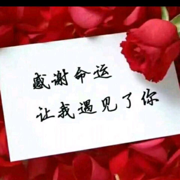 余生随心