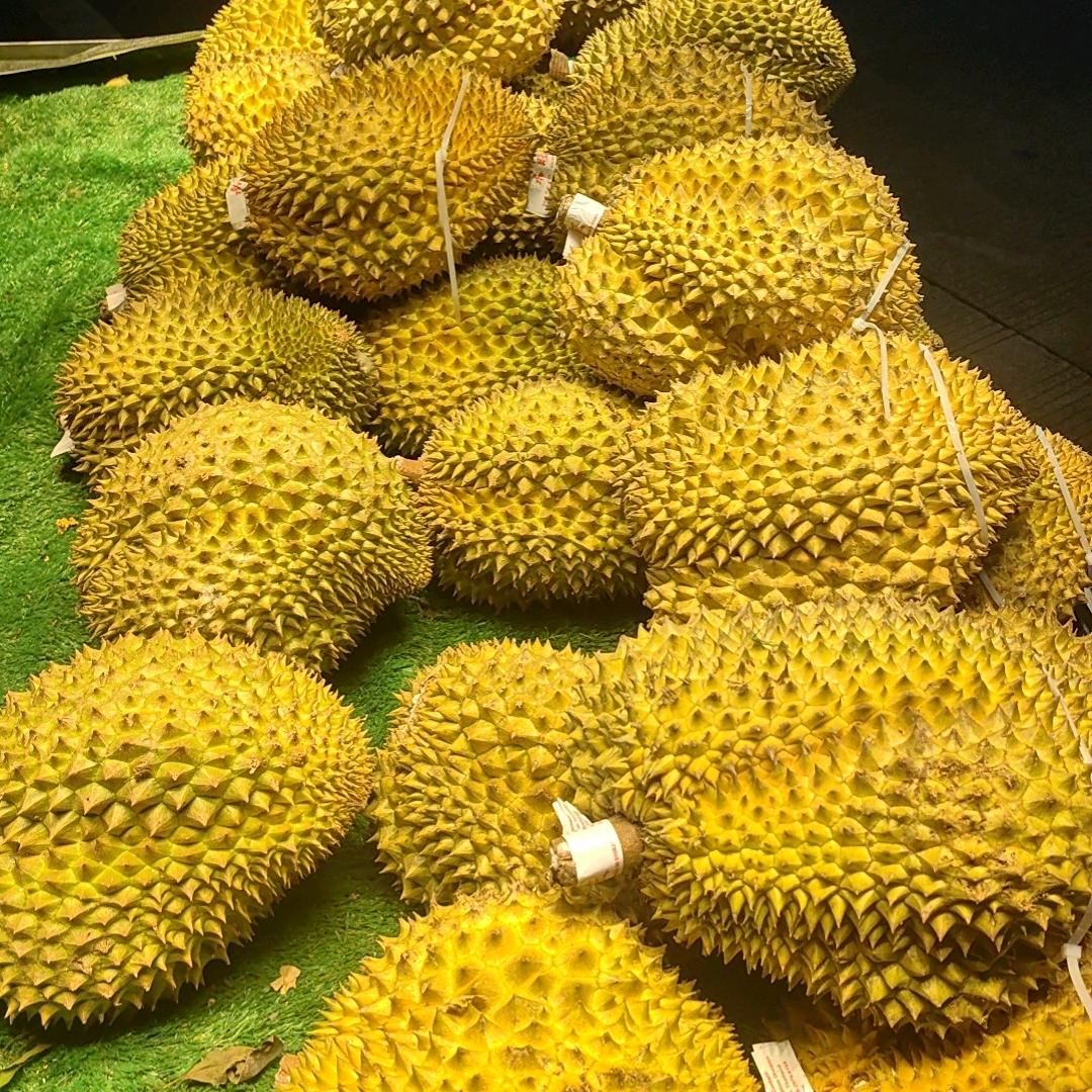 应季水果批发零售
