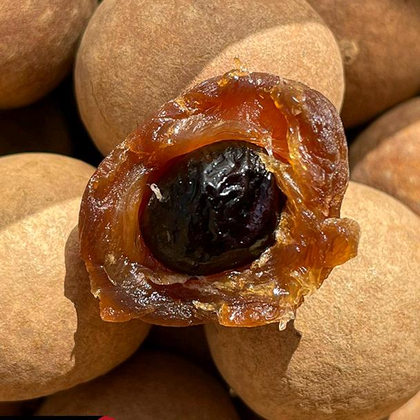 闽龙甘韵食品店