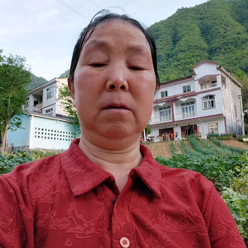 银大姐
