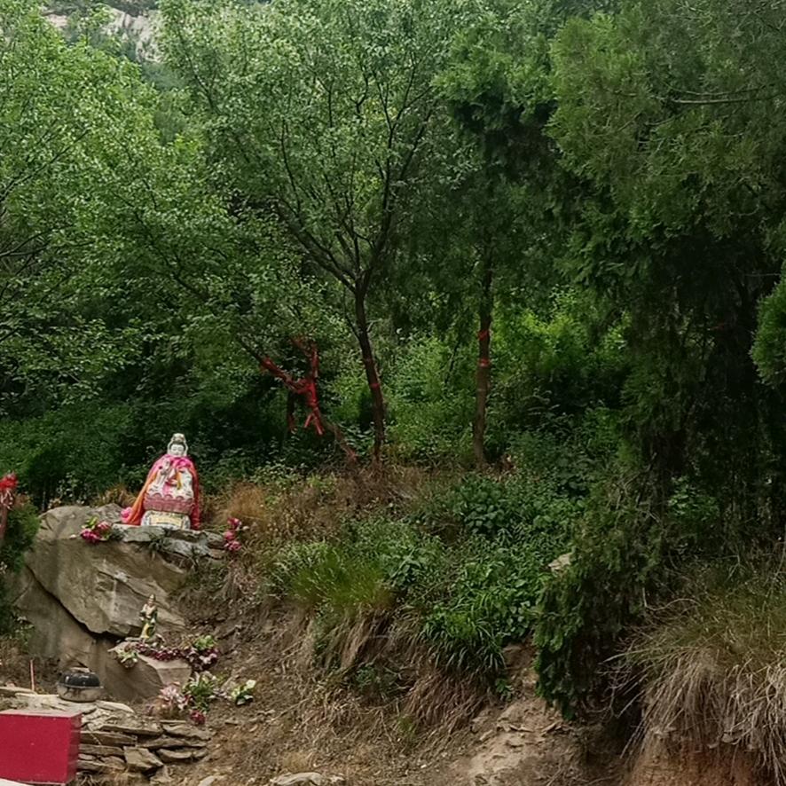 你亮哥