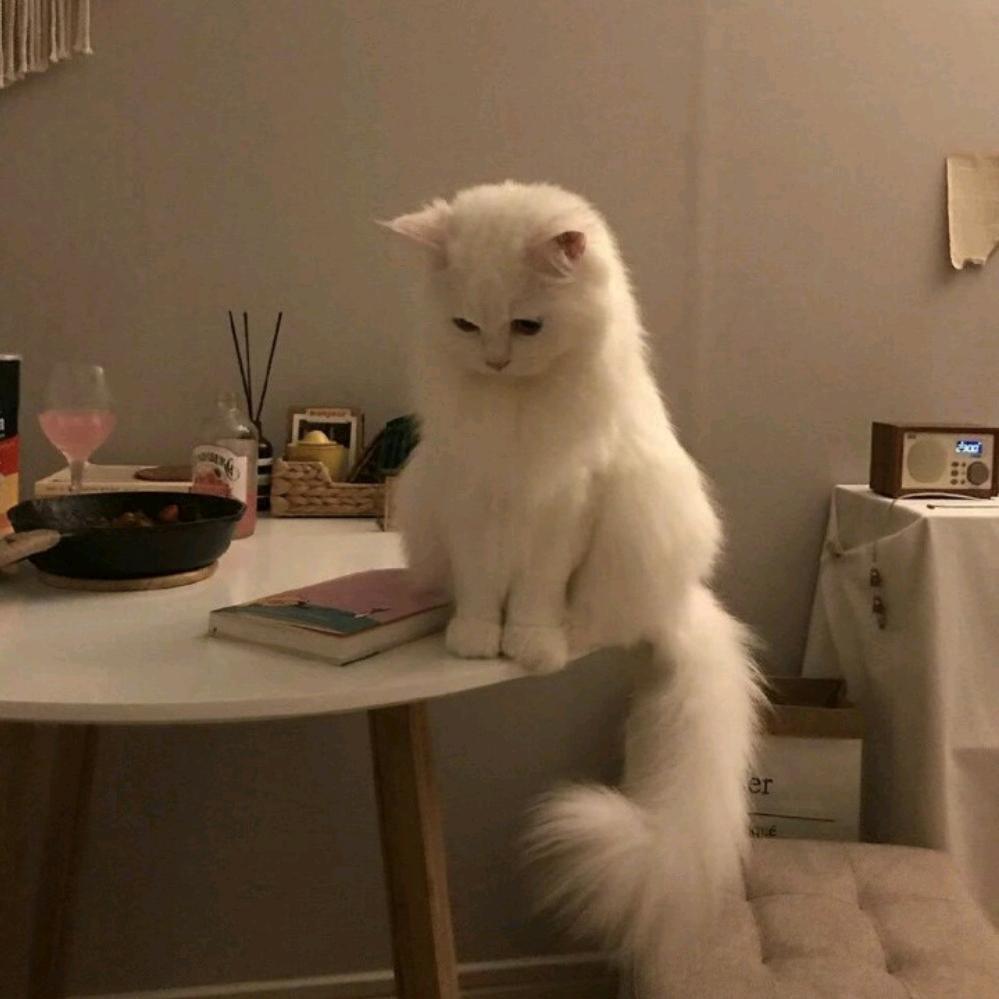 男主