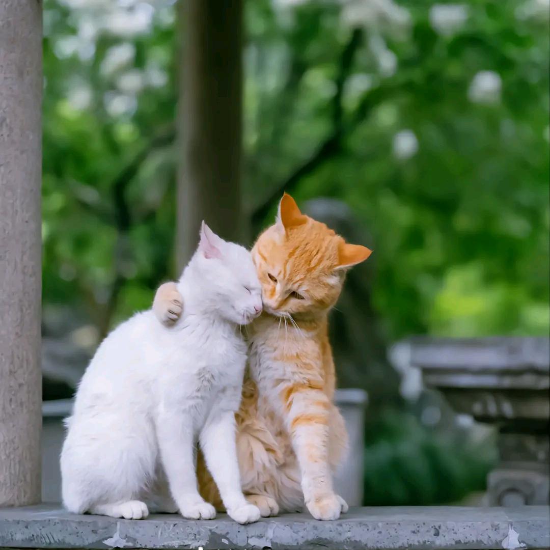 Hi~ o(*￣▽￣*)ブ