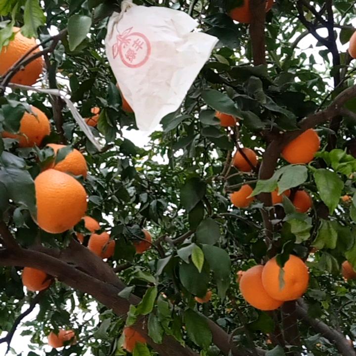 笑看人生