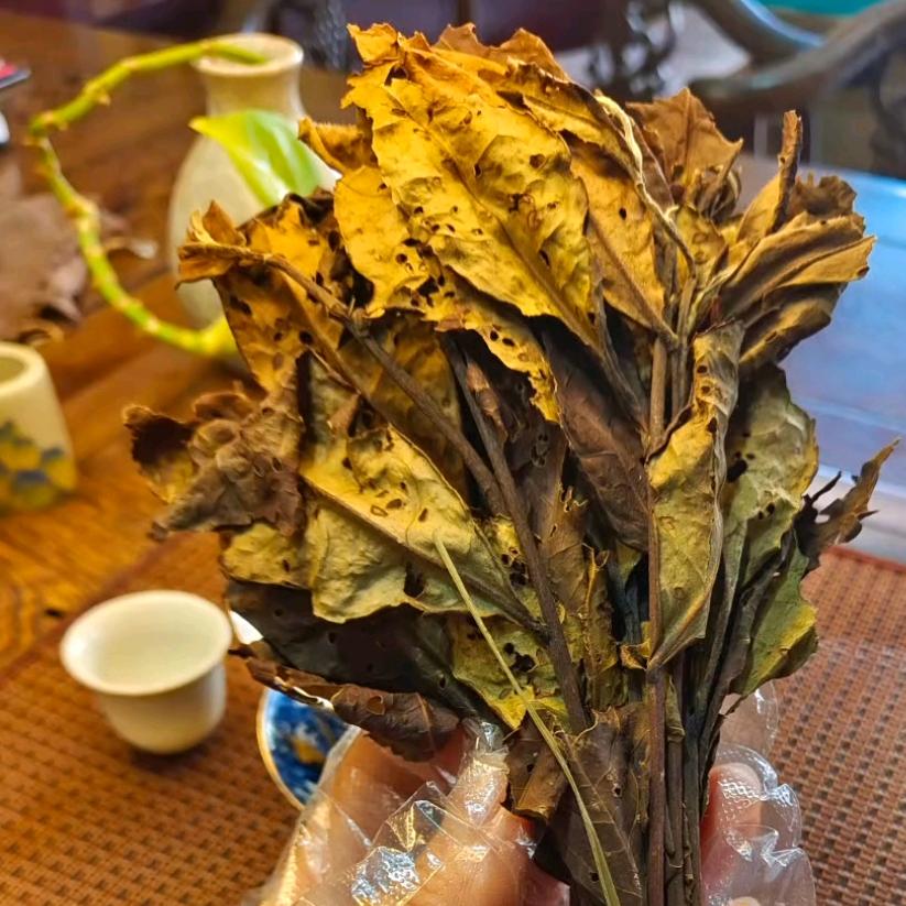 墨缘的茶