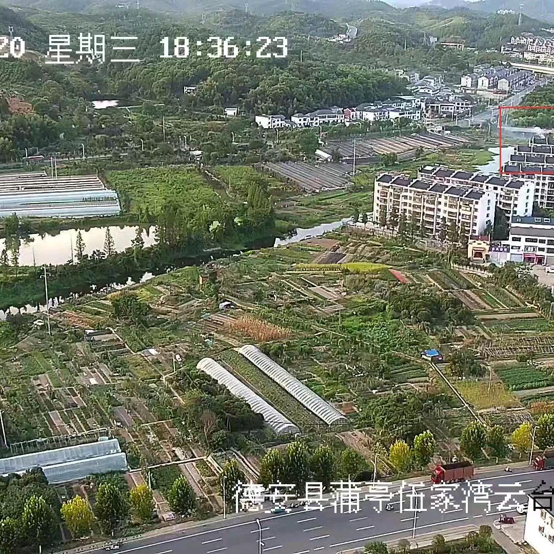 德安佬