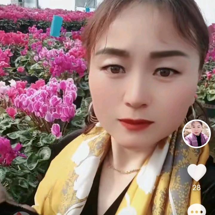 豆豆的姥姥