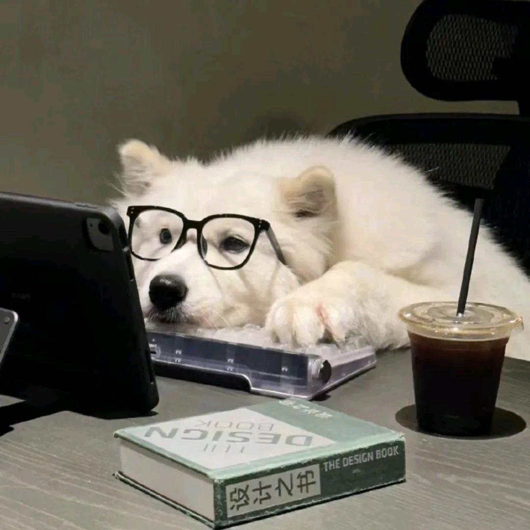 獭麻的能不能滚