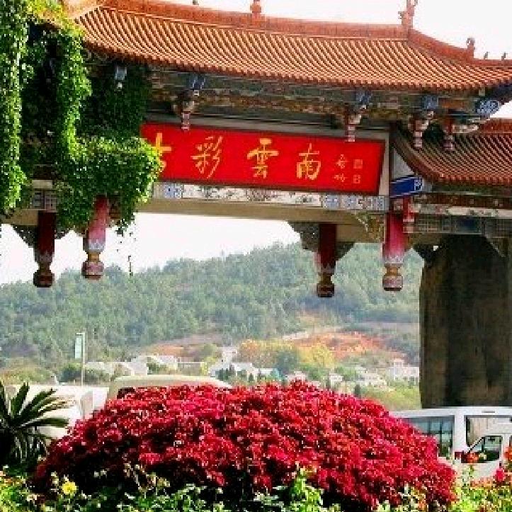独来独往？