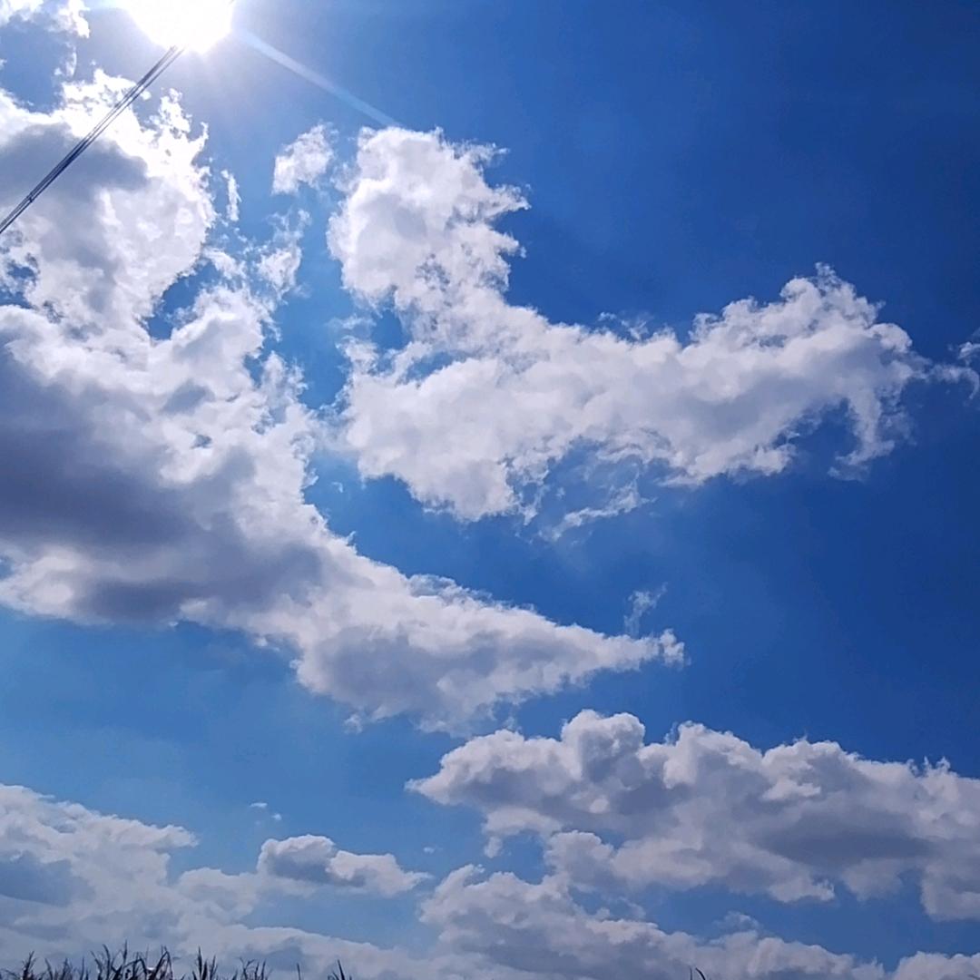 ヾ(╹◡ツ╹)ﾉ~