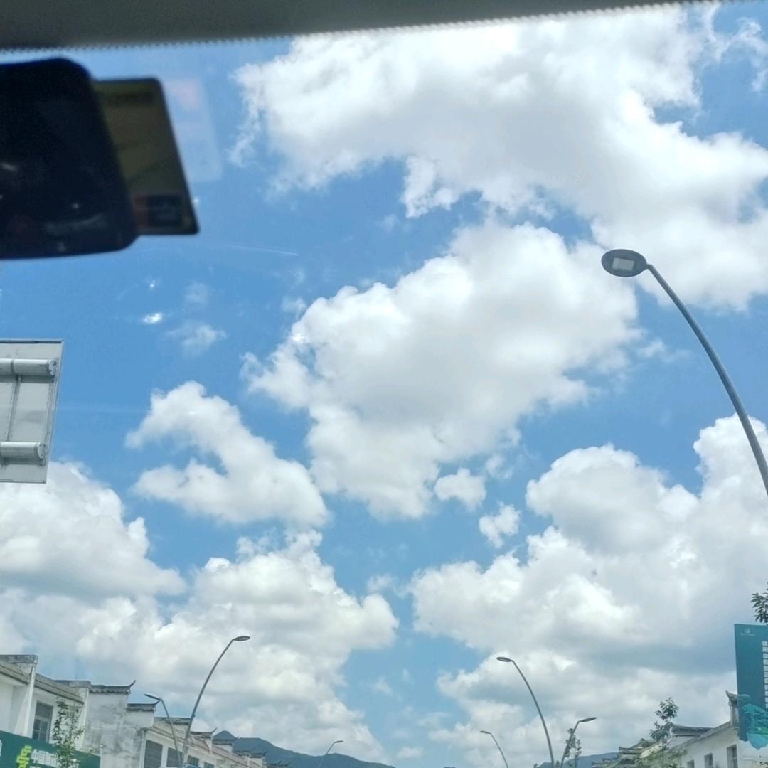 李仔木