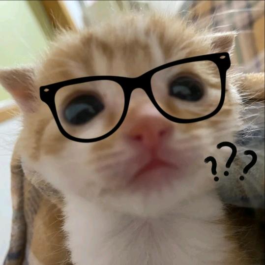 ネネ