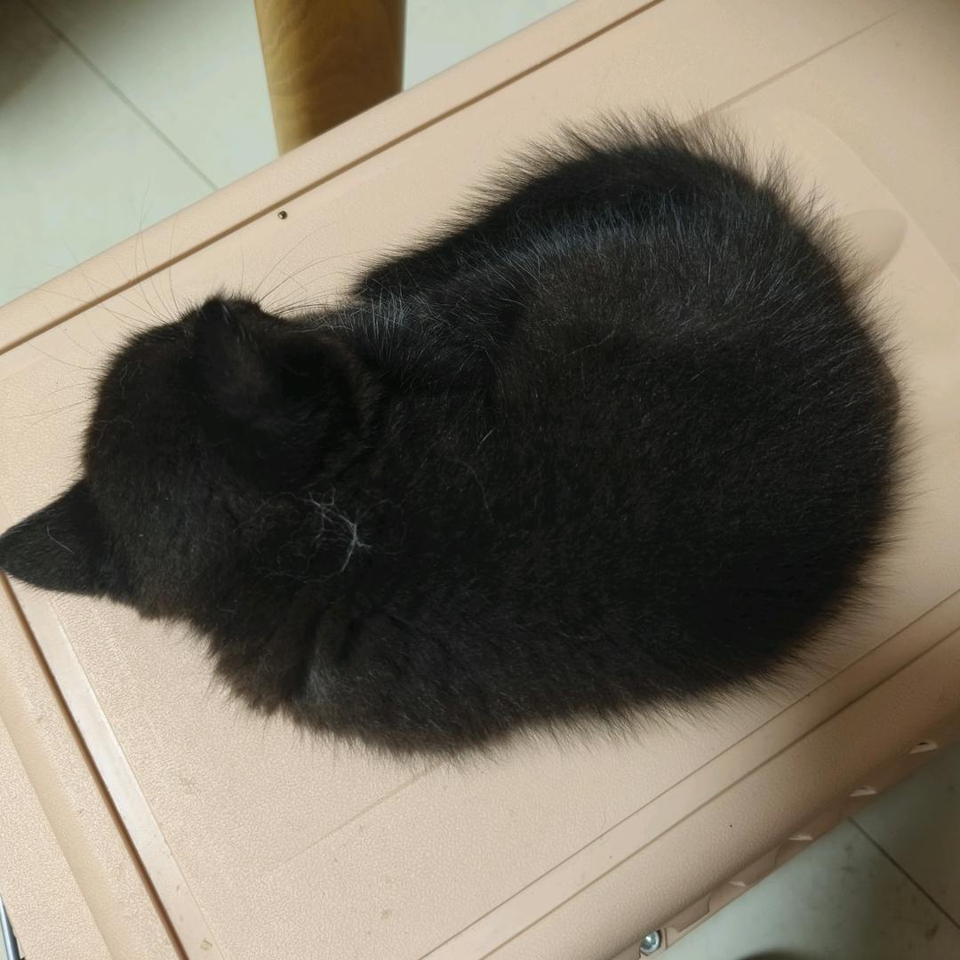 贵港星橙文化传媒