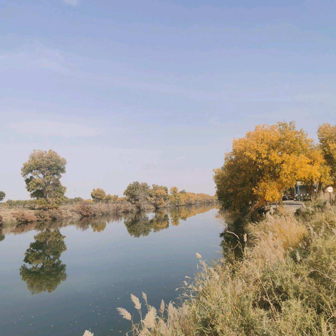 安家新疆免费给棉花地