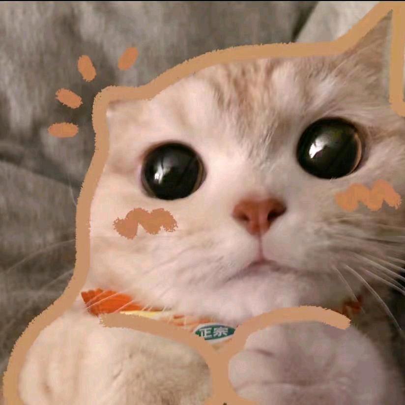 小橘猫长长的尾巴像小辫子似的、左右摇摆✨
