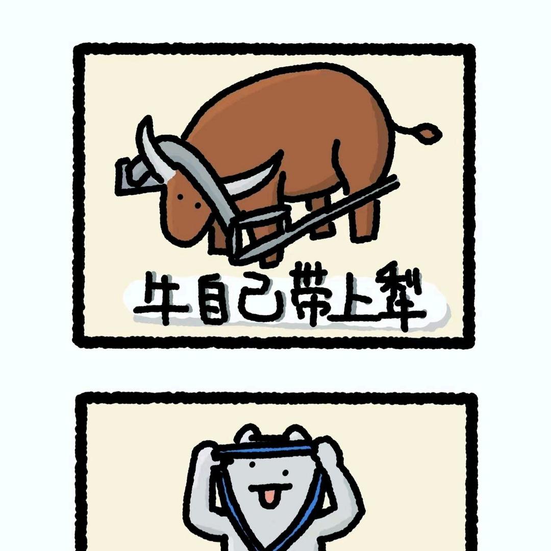 南宁初高中数理培优