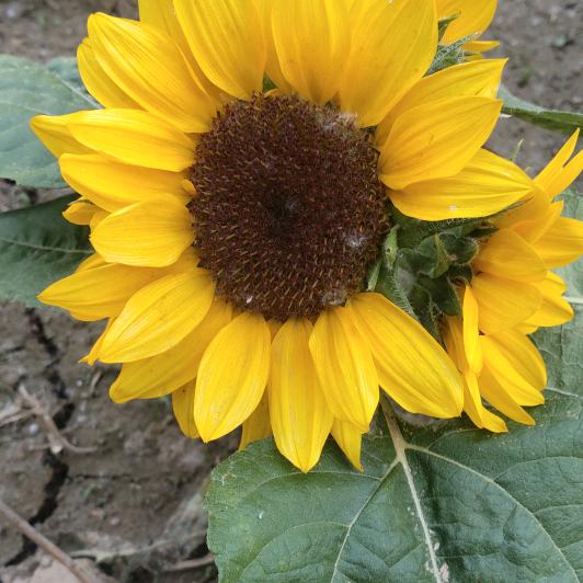 用户开心快乐每一天！