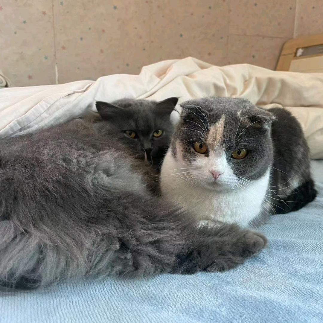 🎃🎃南瓜🎃🎃