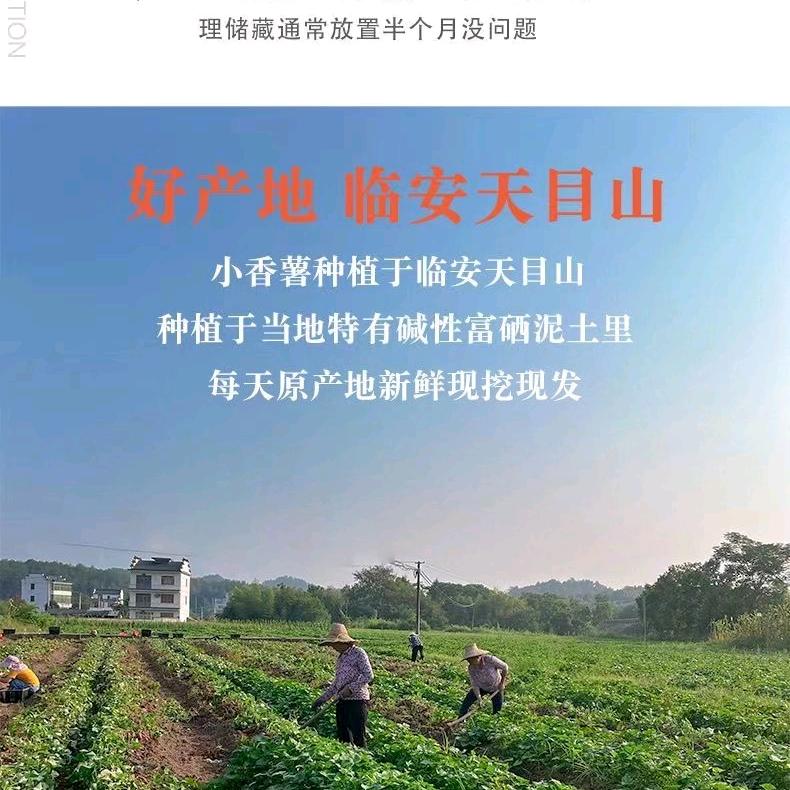 天目山珍坊