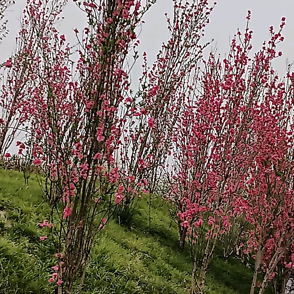 我要努力奋斗。1858