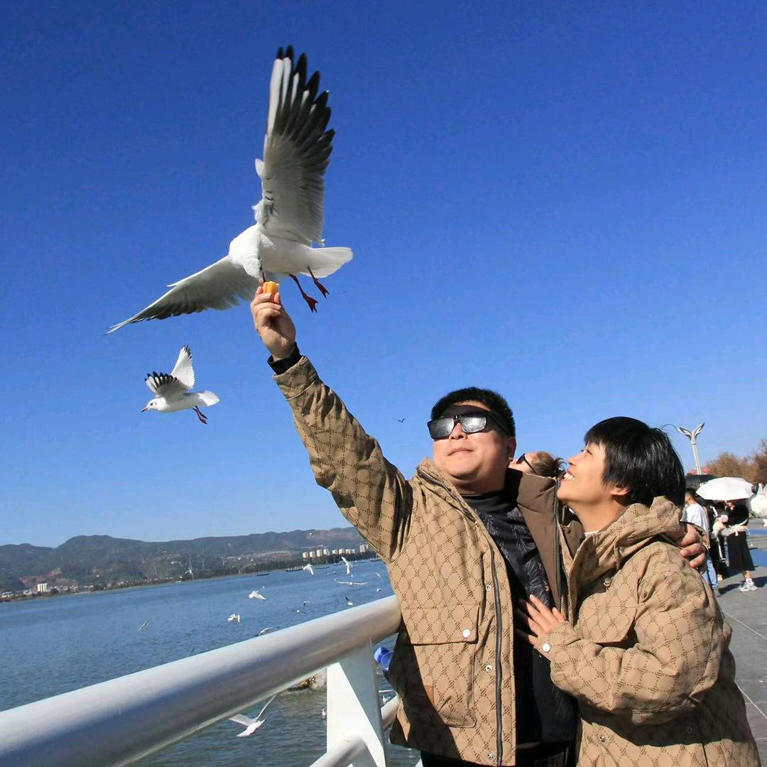 王英一家子