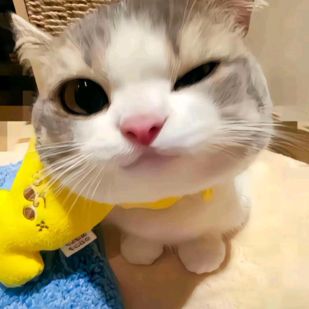 污龟