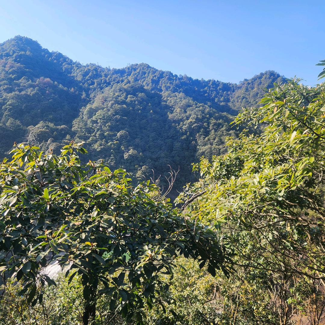 @静水深流