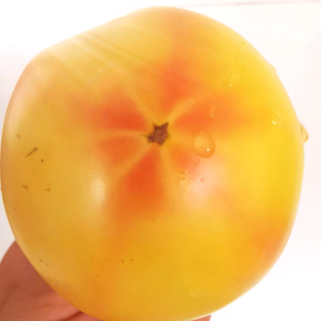 西红柿酱
