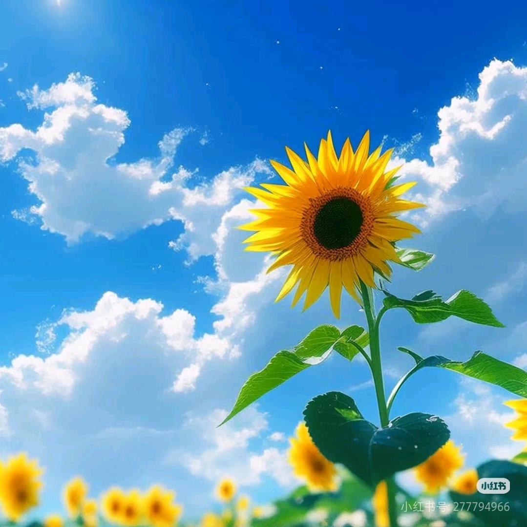 🍰奶芙藏幸运ꦿ໊ོ