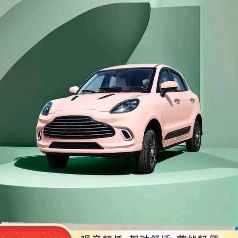 低速新能源厂家