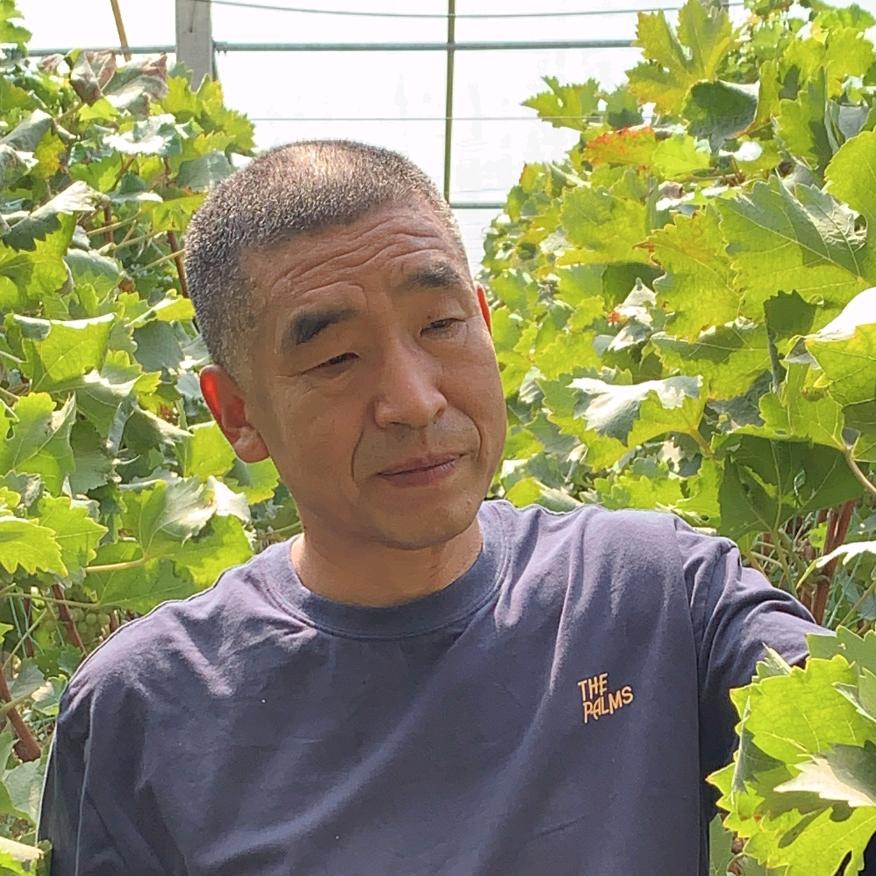 寿光葡萄赵哥家庭农场