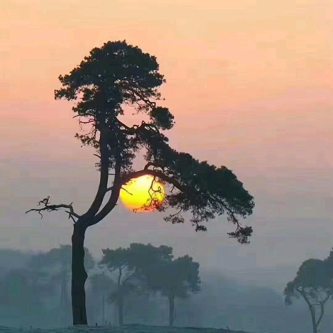 墨玉轩🇨🇳✨