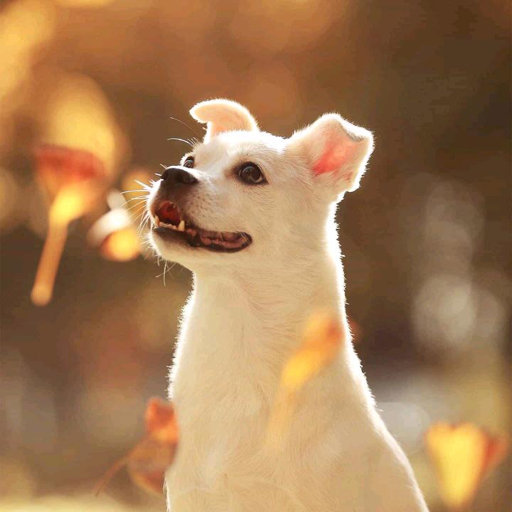 心愿❤️1⃣️3⃣️1⃣️4⃣️