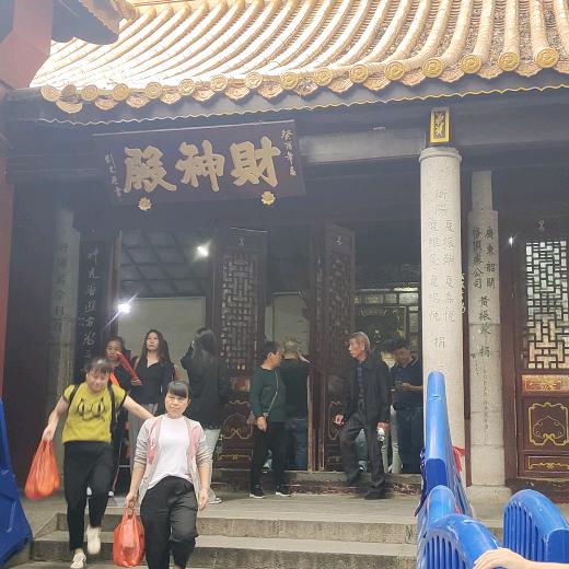金豪