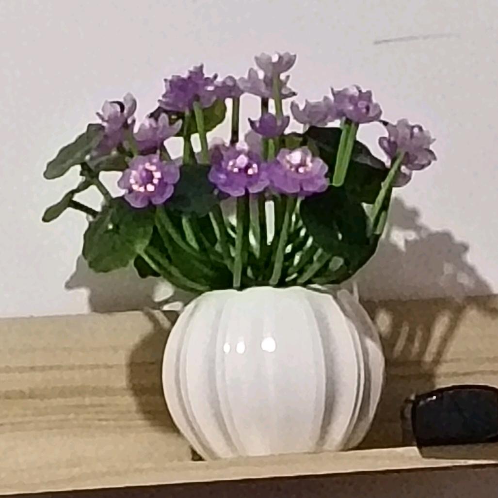 平安是福（拒绝私聊）谢绝连续赞