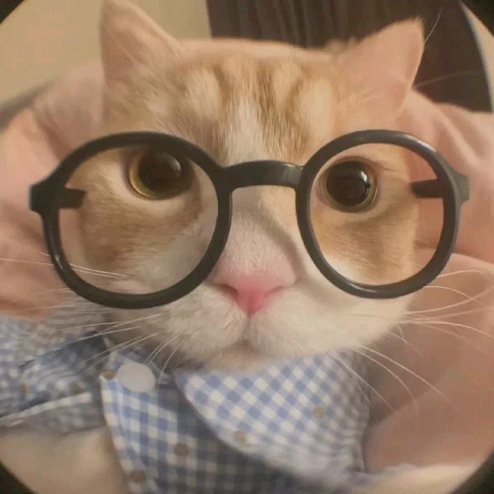 安防小月学姐（唱歌版）