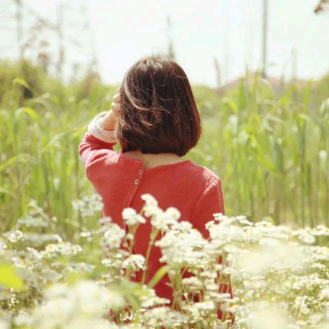 🌸🌸🌸繁花似锦🌸🌸🌸🌸