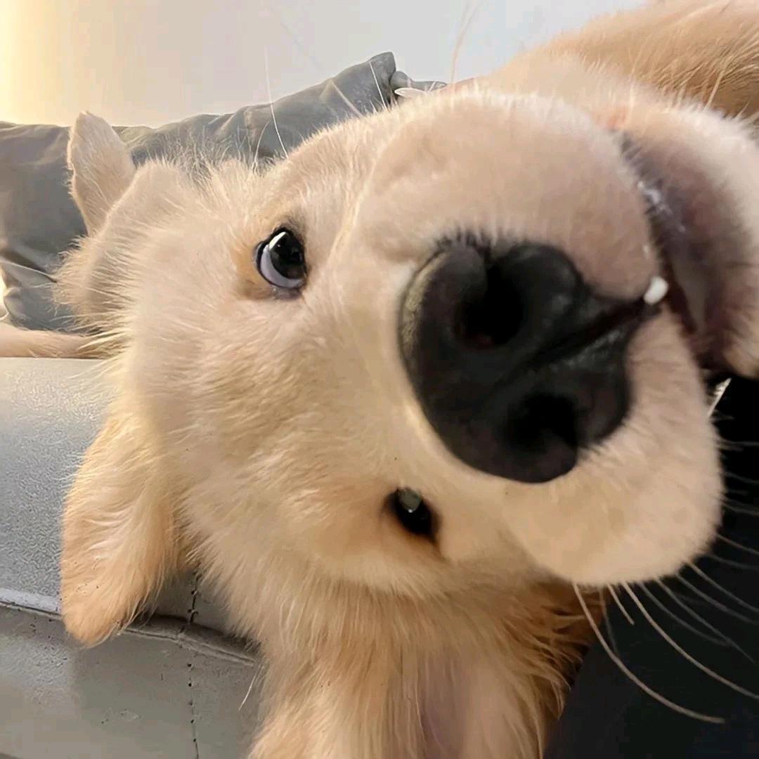 何