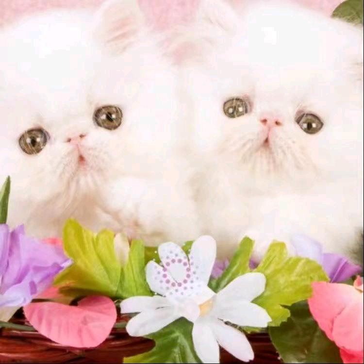 万水千山总是情