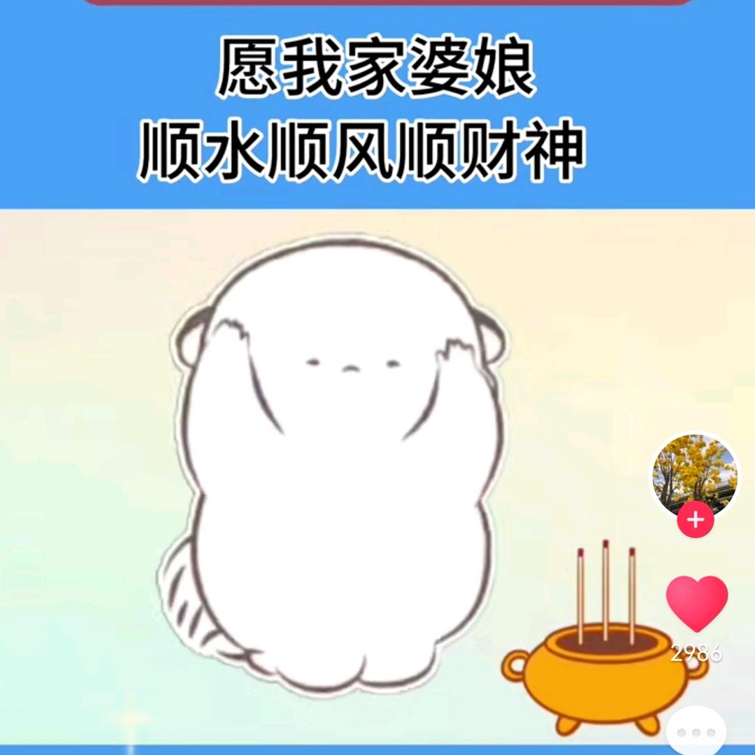 木小喵—零食铺🍓