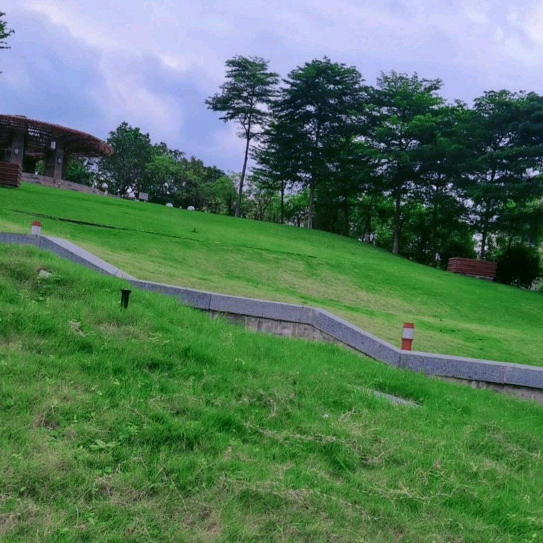 相信明天会更好