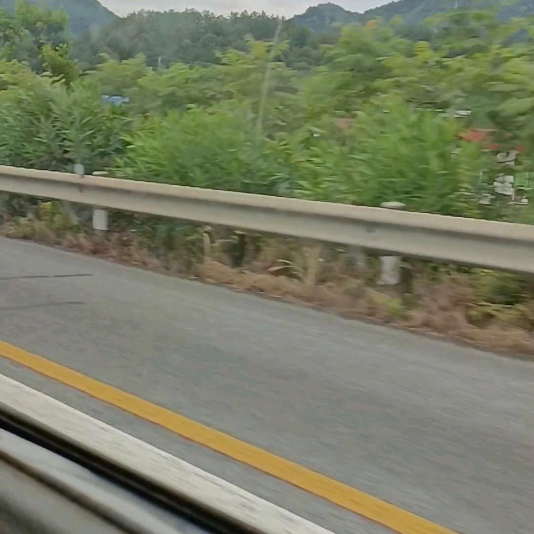 平淡(杨)