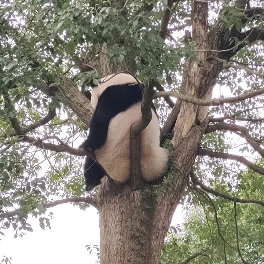 不爱聊天