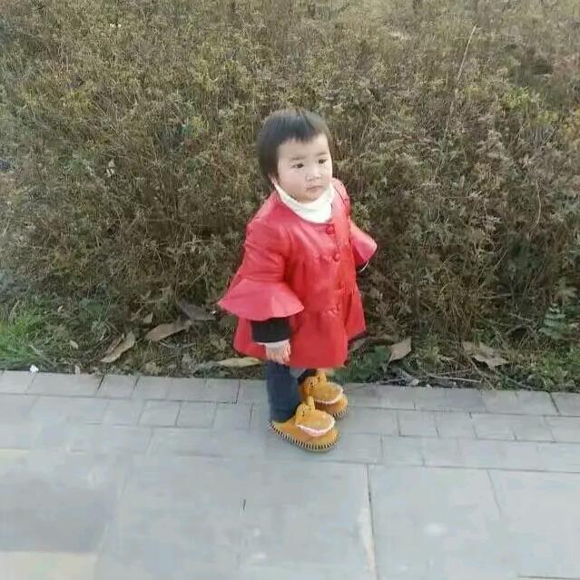 绿竹