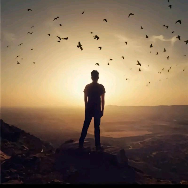 @✨  孤者  别惧🐺