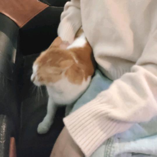 灵想