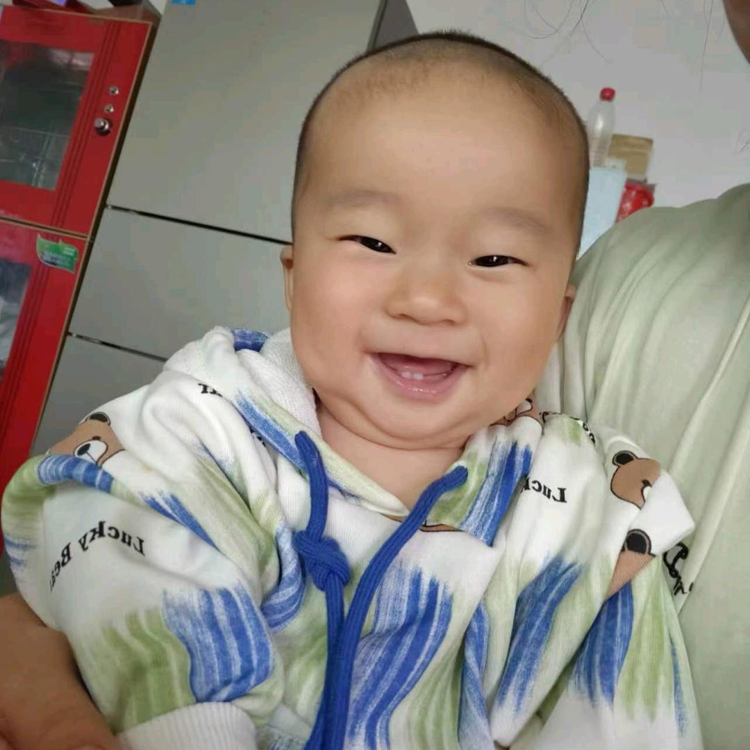 搬运小能手